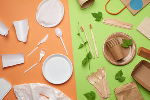 Eco-friendly Disposable Plates