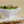 White Square Medium Salad Bowl - 2 Pack