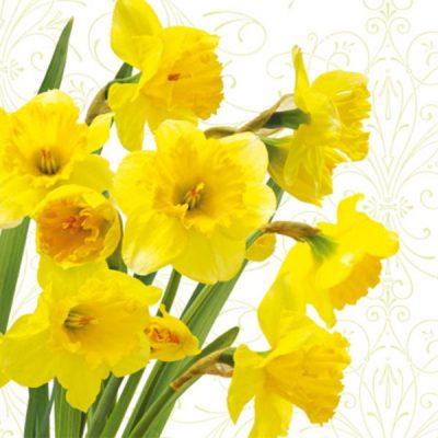 Yellow Daffodils Floral Lunch Napkin - 20 Pack - Posh Setting