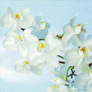 Orchidea Blanca Acqua Floral Lunch Napkin - 20 Pack - Posh Setting