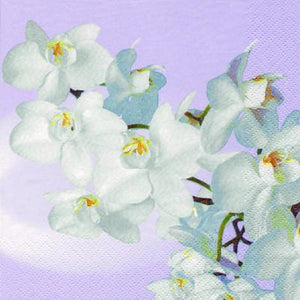 Orchidea Blanca Vintage Lavender Aqua Floral Lunch Napkin - 20 Pack - Posh Setting