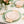 32 Piece Combo Pink/White Tulip Round Plastic Dinnerware Set (16 Servings) - Organic Tulip