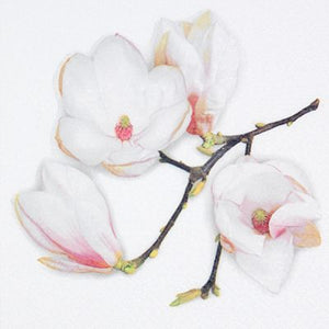 White Magnolia Floral Lunch Napkin - 20 Pack - Posh Setting