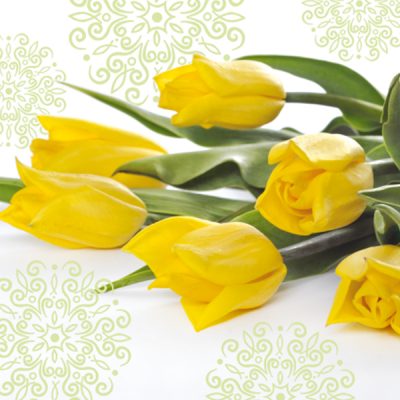 Yellow Tulips Floral Lunch Napkin - 20 Pack